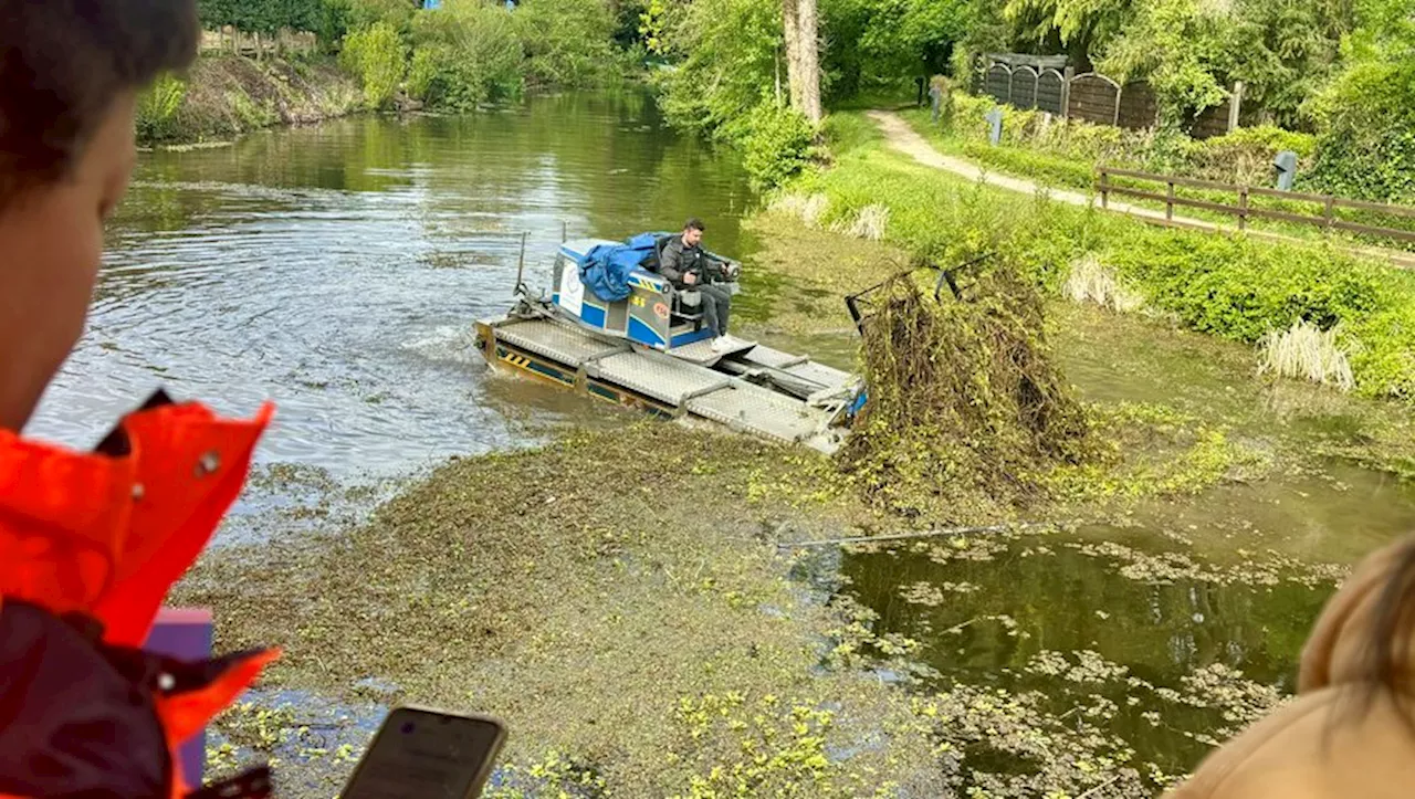 VIDEO. Un 'tank des rivières' : une machine révolutionnaire testée pour arracher la Jussie des eaux du Lot