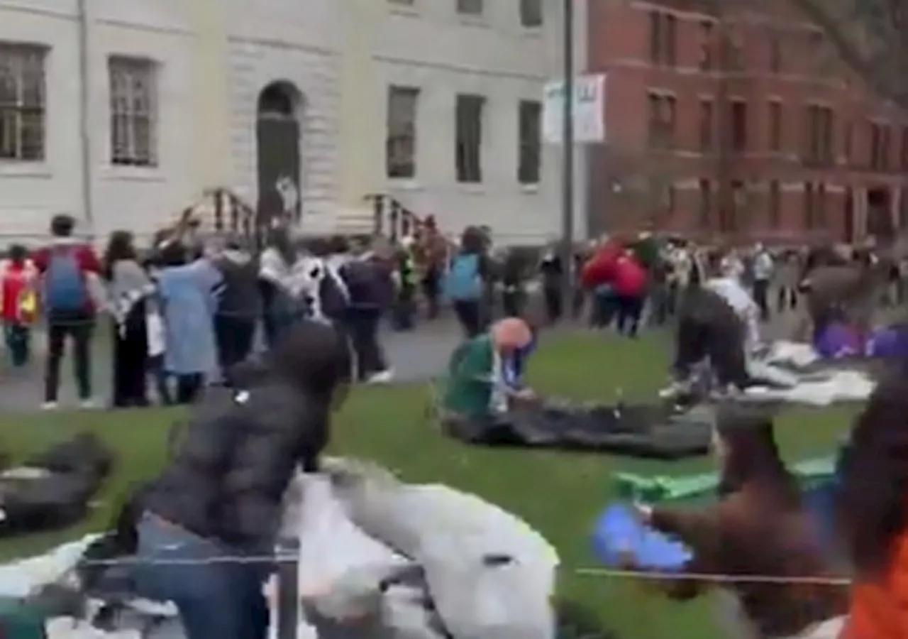 Anti-Israel Students Establish ‘Liberation Zone’ in Harvard Yard