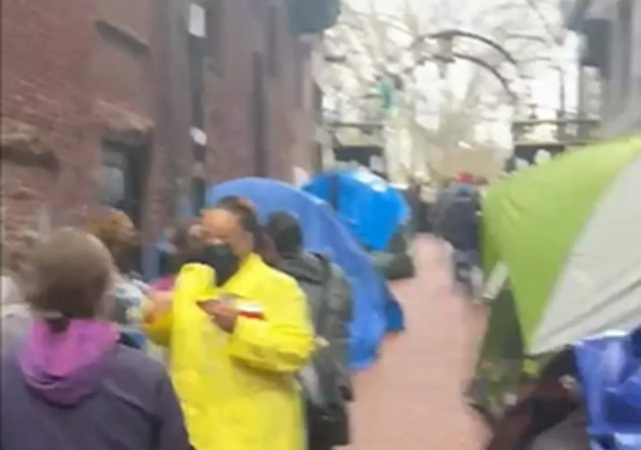 Emerson Students Erect Tents in Public Alley, Allegedly Harass Jewish Passersby