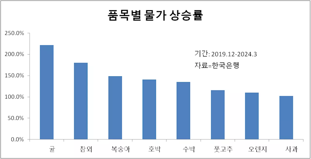 “국민 인내심 실험”…물가에 민심이 들끓는 까닭 [노영우 칼럼]