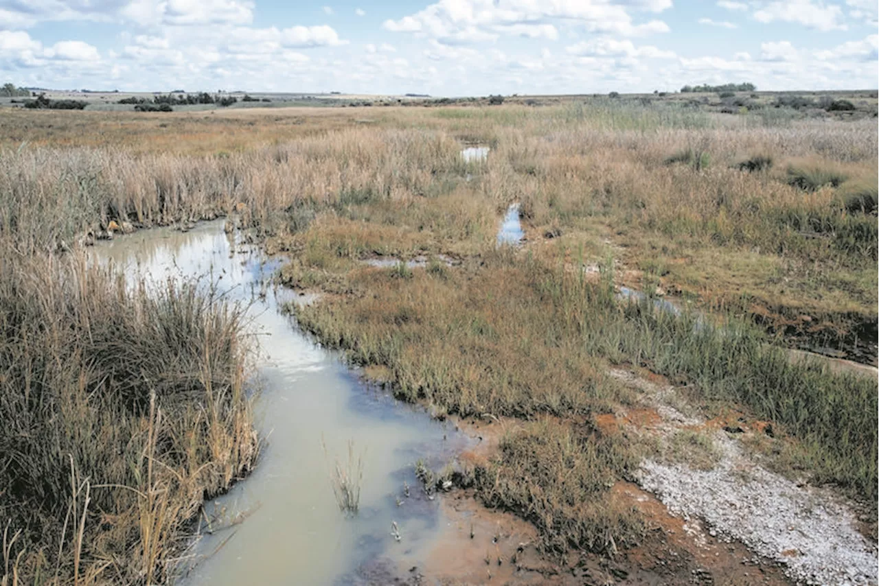 Toxic acid mine water continues to rise underground on East Rand