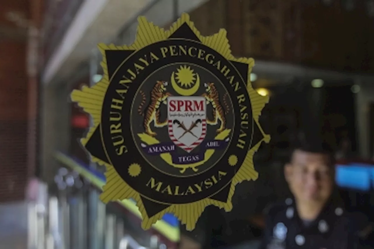 Report: MACC grants extension to Dr Mahathir's sons to declare assets