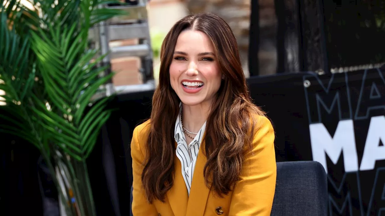 Sophia Bush Publicly Comes Out as Queer For the First Time in Moving Personal Essay