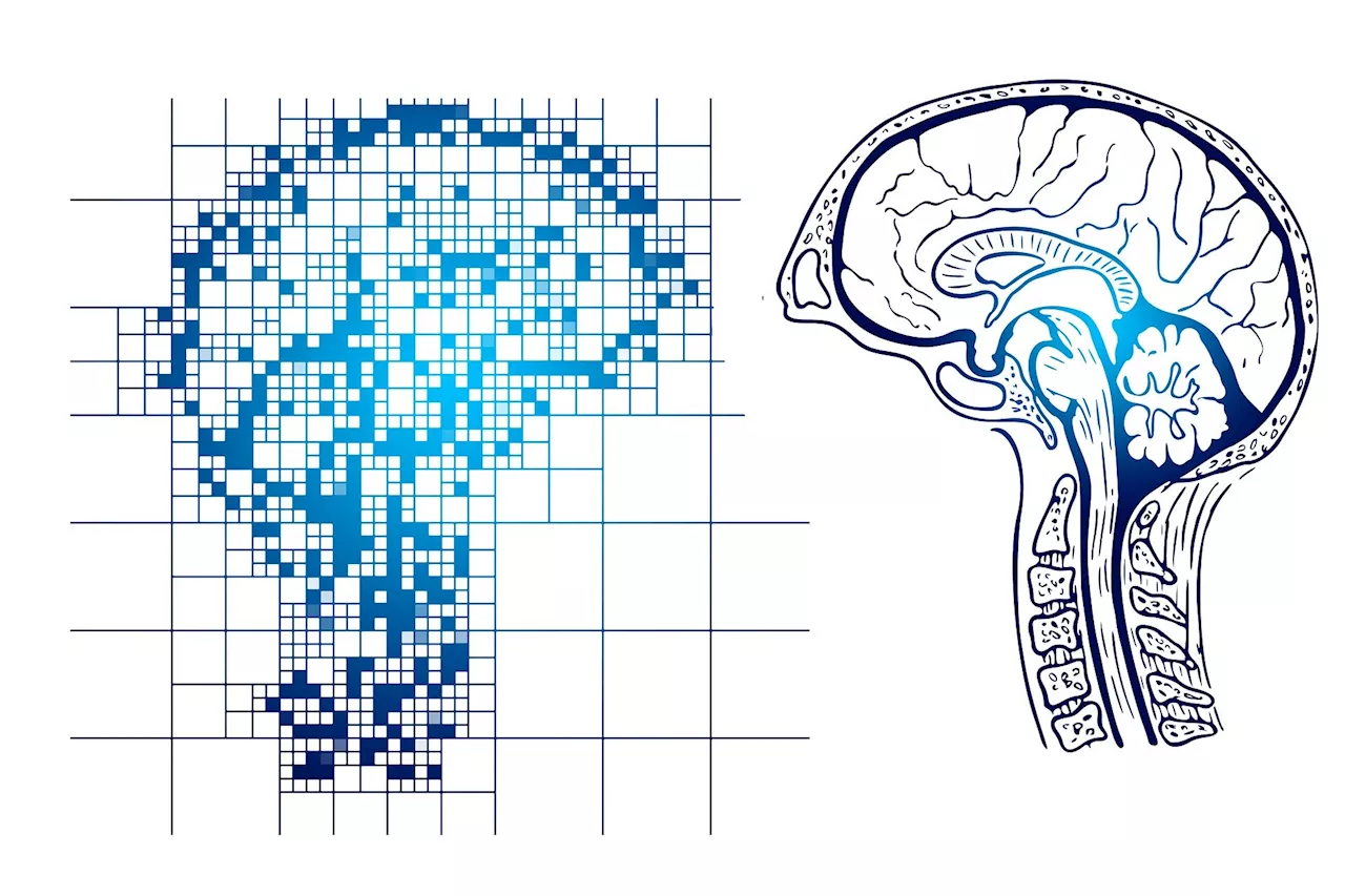 Q&A: Alzheimer's and Arab Americans—more research needed