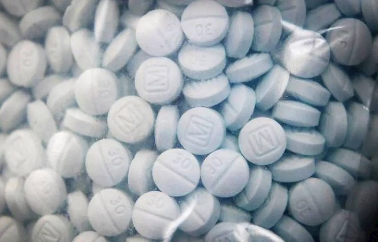 Law enforcement seizes 1 million-plus fentanyl pills in San Diego in just one week