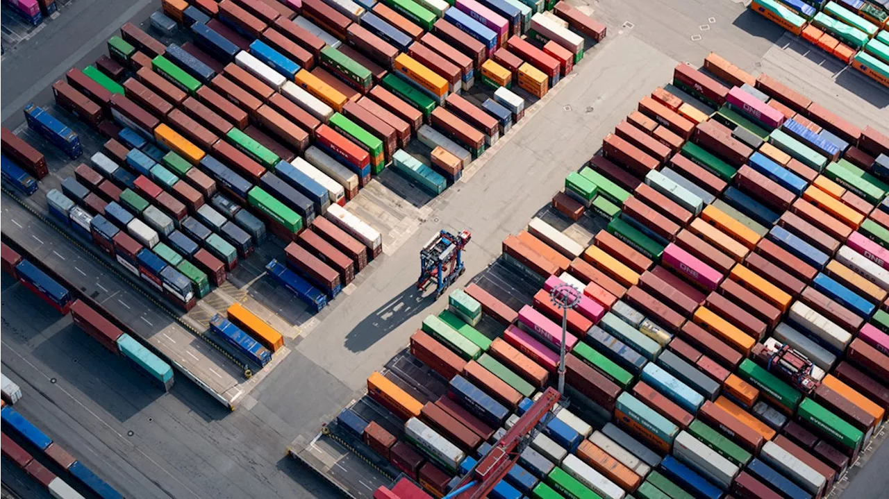 Kampagne gegen Drogenschmuggel über den Hamburger Hafen vorgestellt