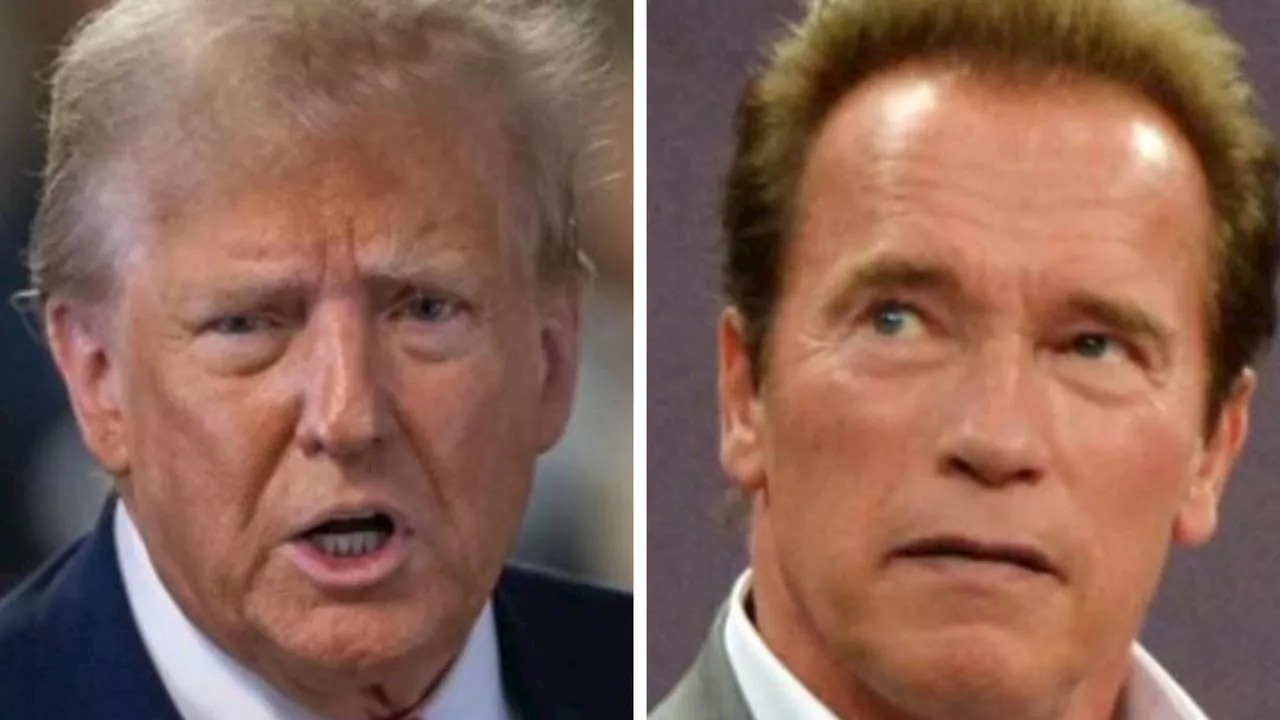 Schwarzenegger dragged into Trump trial