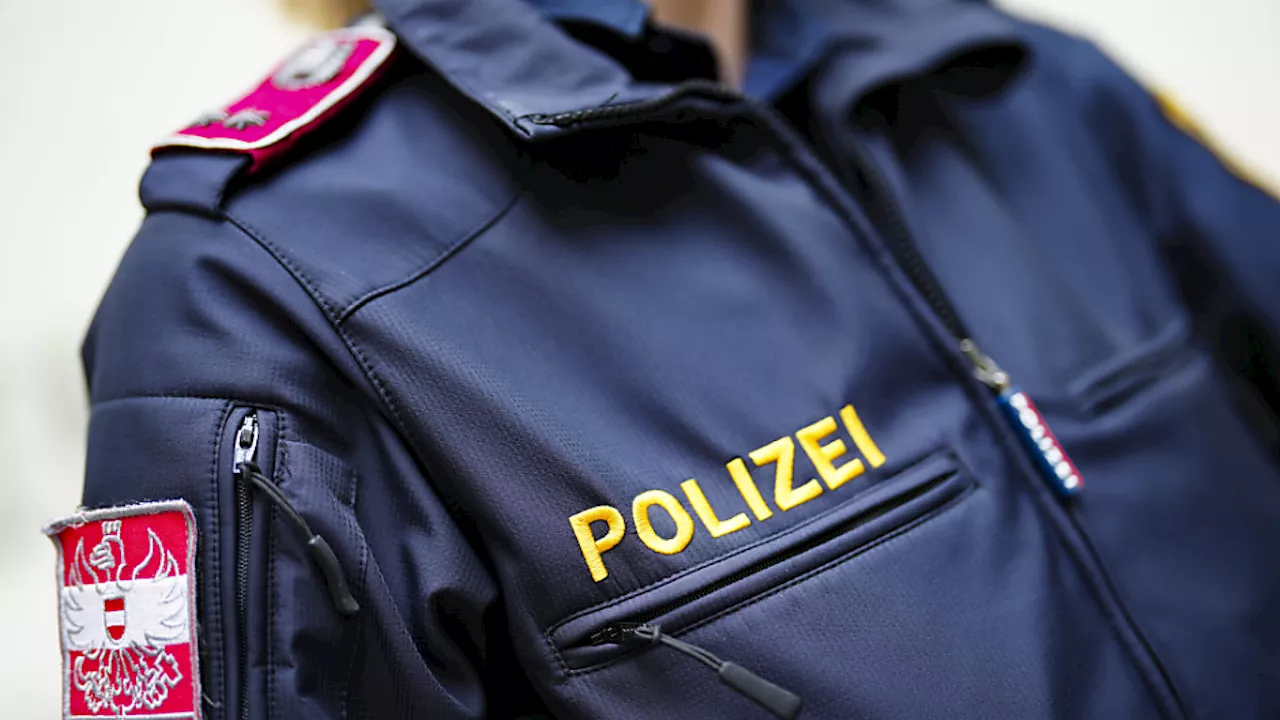 Wiener Polizei fahndet nach Millionenbetrügern