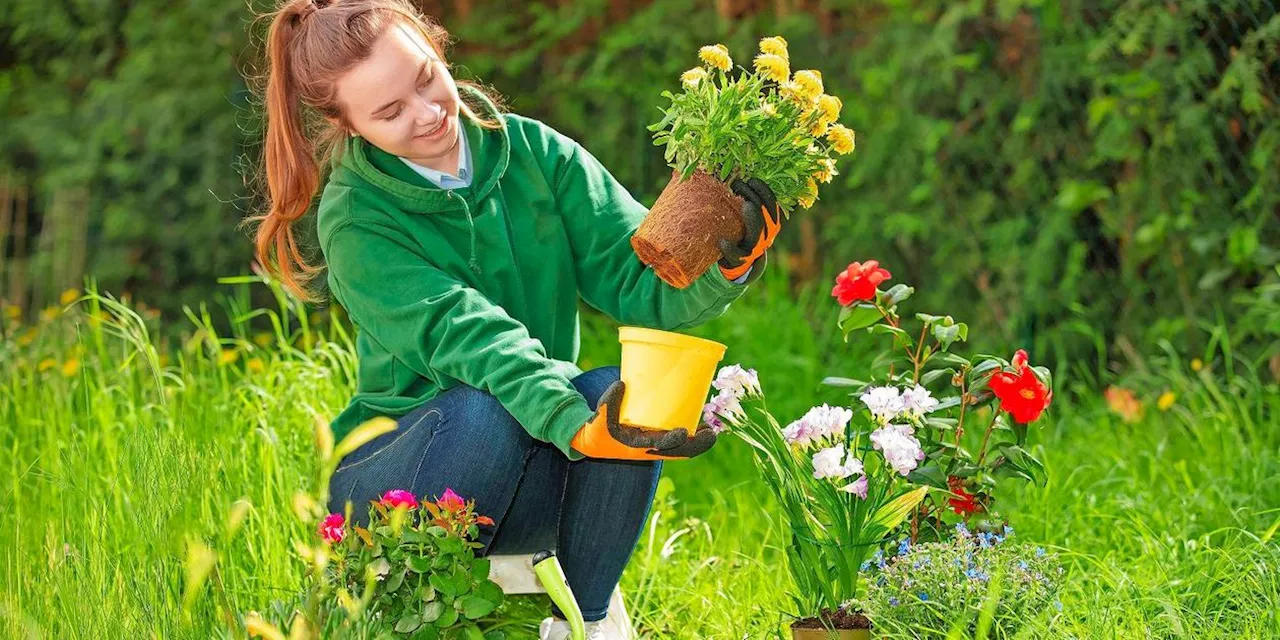 Vorsicht vor den Eisheiligen: Wann Sie im Frühling den Balkon oder Garten bepflanzen sollten