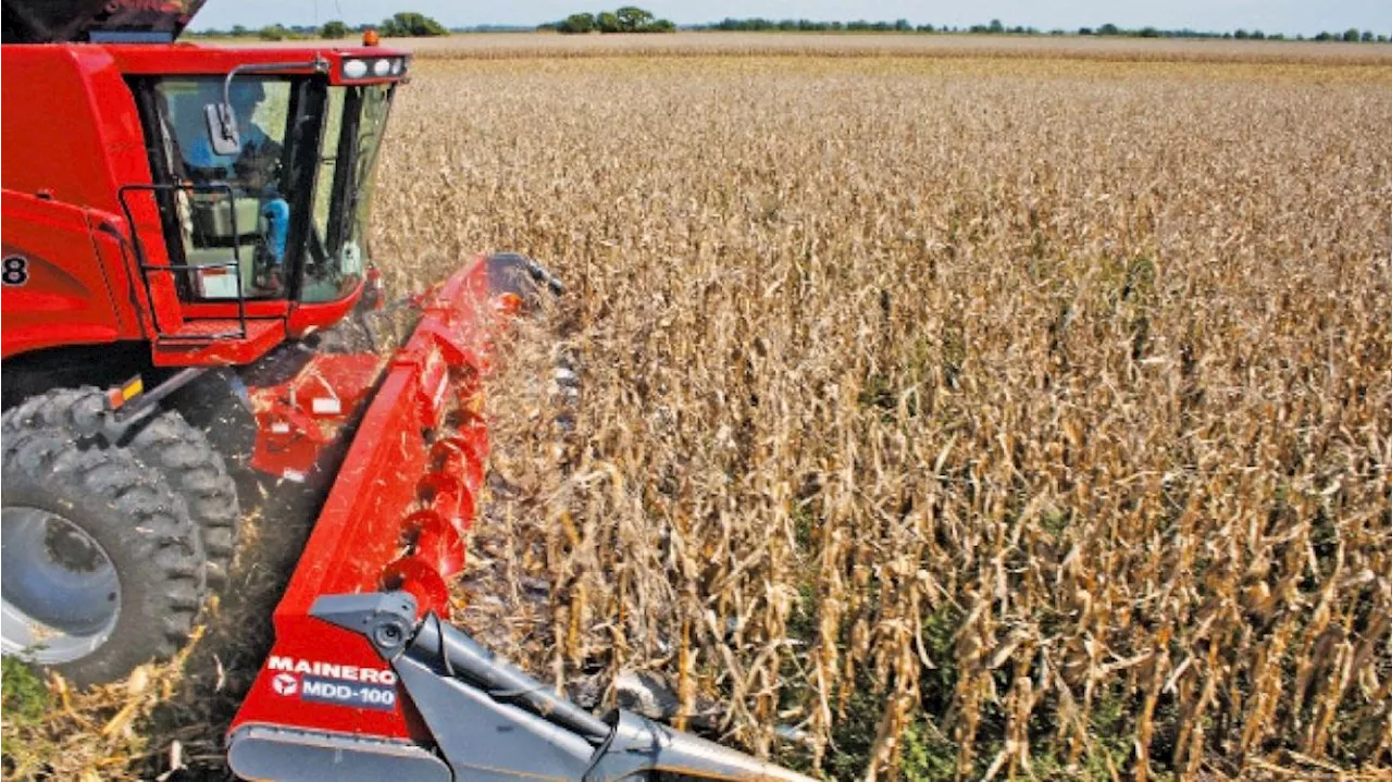 El campo difícilmente liquide lo que el gobierno necesita