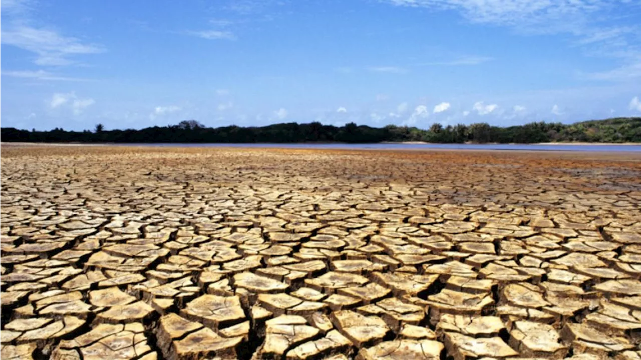 Por el Cambio Climático la mortalidad aumentó un 140% en los últimos 20 años