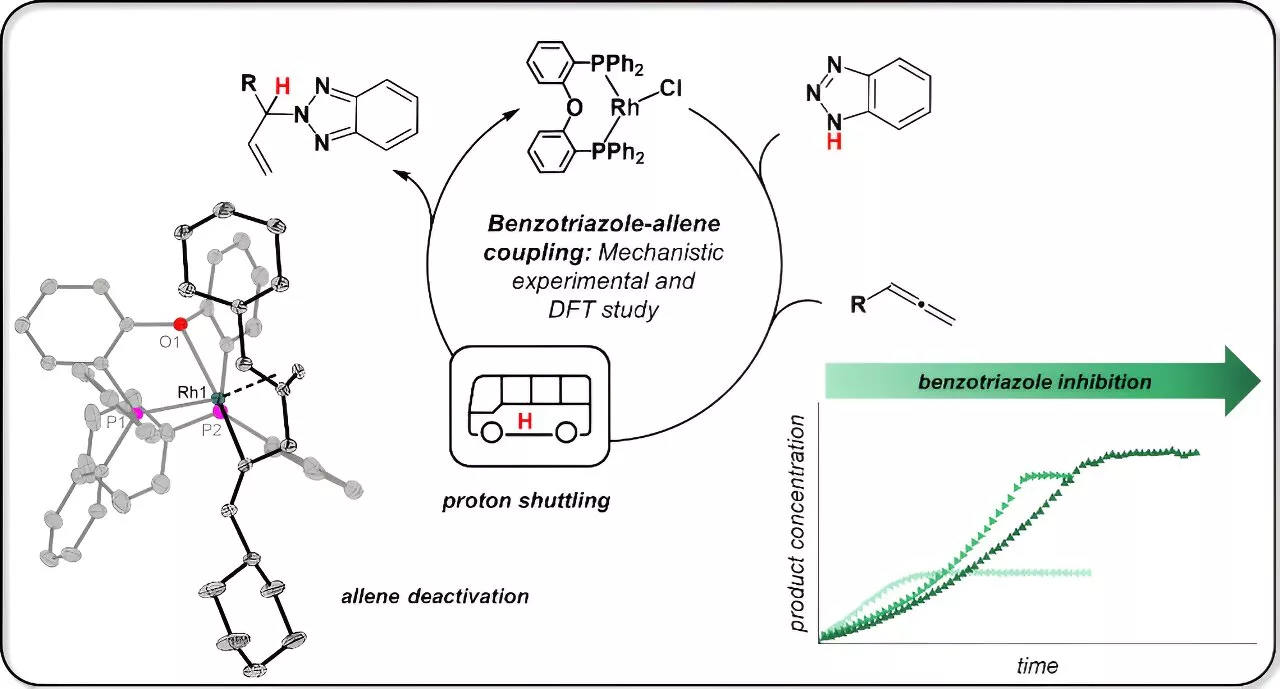 Chemical rope trick at molecular level: Mechanism research helps when 'trial and error' fails