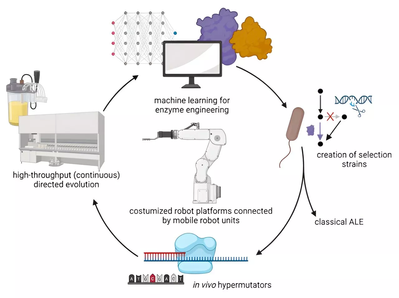 Making sustainable biotechnology a reality: Joined forces aim to improve biocatalysts