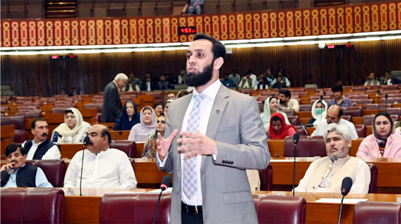 National assembly session : Govt taking all measures to eliminate terrorism: info minister