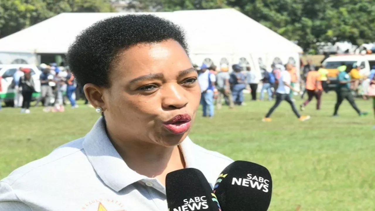 KZN will pay for praise singer 's services as need arises: Premier ...