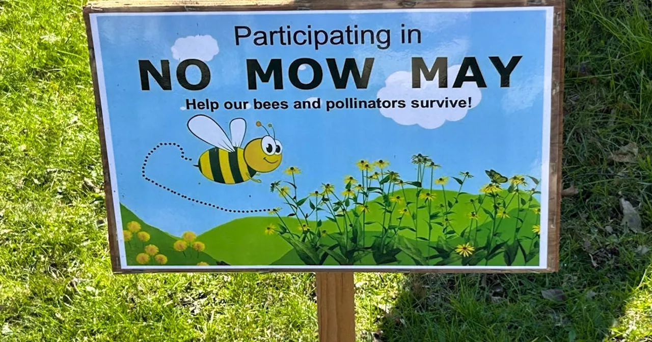 WALK IN THE WOODS: It's time to give the pollinators a break