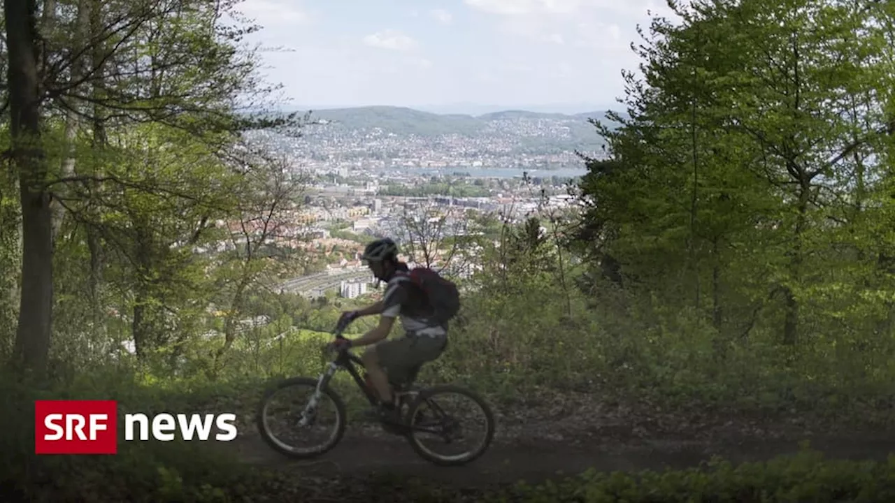 Mountainbike-Boom führt zu Konflikten mit Waldbesitzern