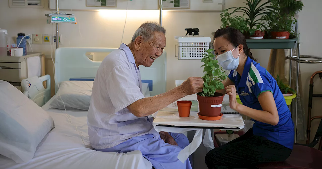 Garden by the bed: Bringing nature and healing to hospital patients