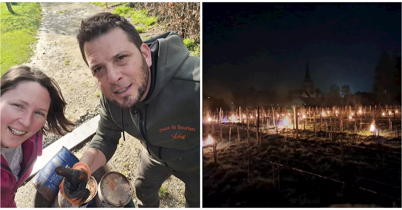 Les vignerons du Domaine de Longchamp à Bourlers ont veillé à la bougie pour combattre le gel : « Ce fut