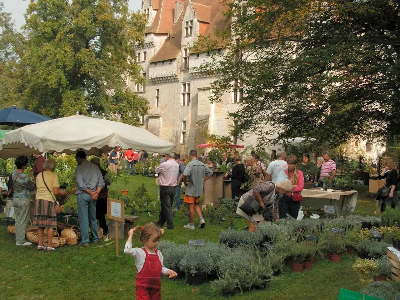 Dordogne : des idées de sorties autour des plantes, de l’art et de la préhistoire