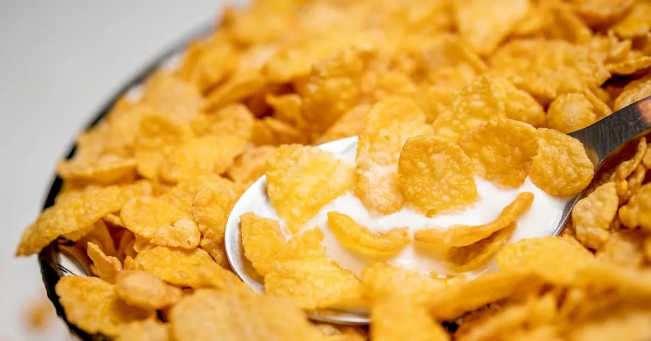 Günstige Cornflakes überzeugen im „Öko-Test“