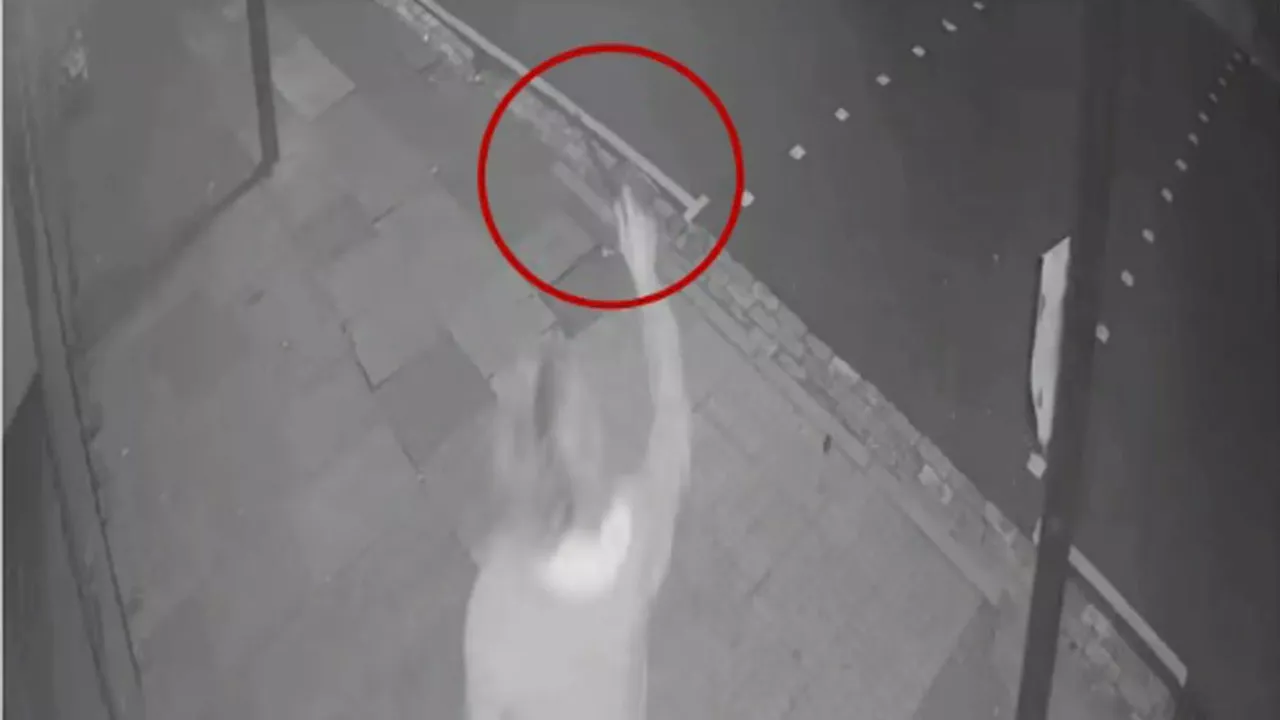 Chilling moment asylum seeker prowls street with knife before stabbing pensioner to death in bloody rampage...