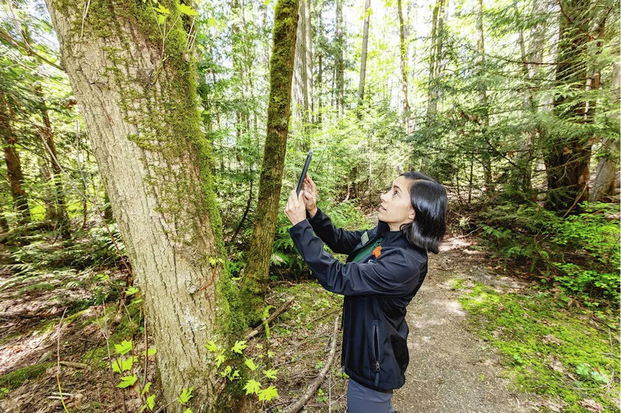 Explore: City Nature Challenge; Masterclass with Montreal troupe