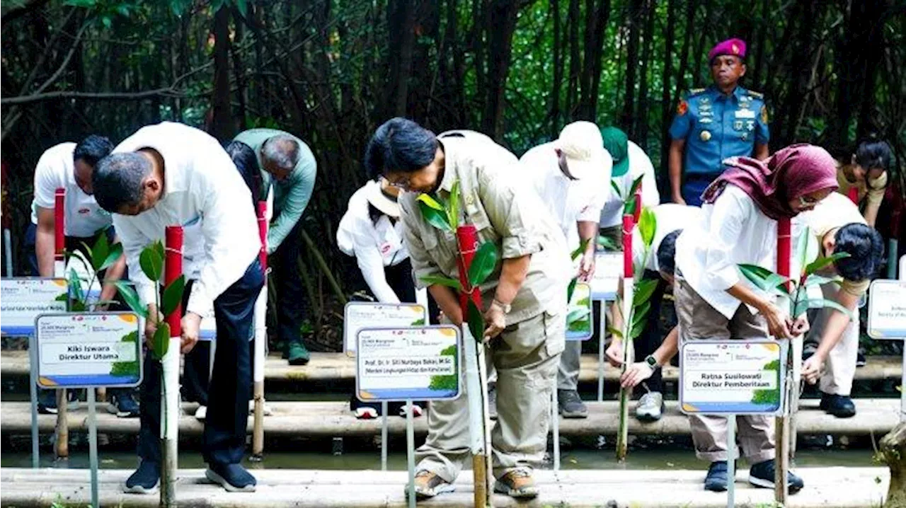 Mitigasi Perubahan Iklim, Menteri LHK Pimpin Penanaman 25 Ribu Mangrove di 25 Lokasi di Indonesia