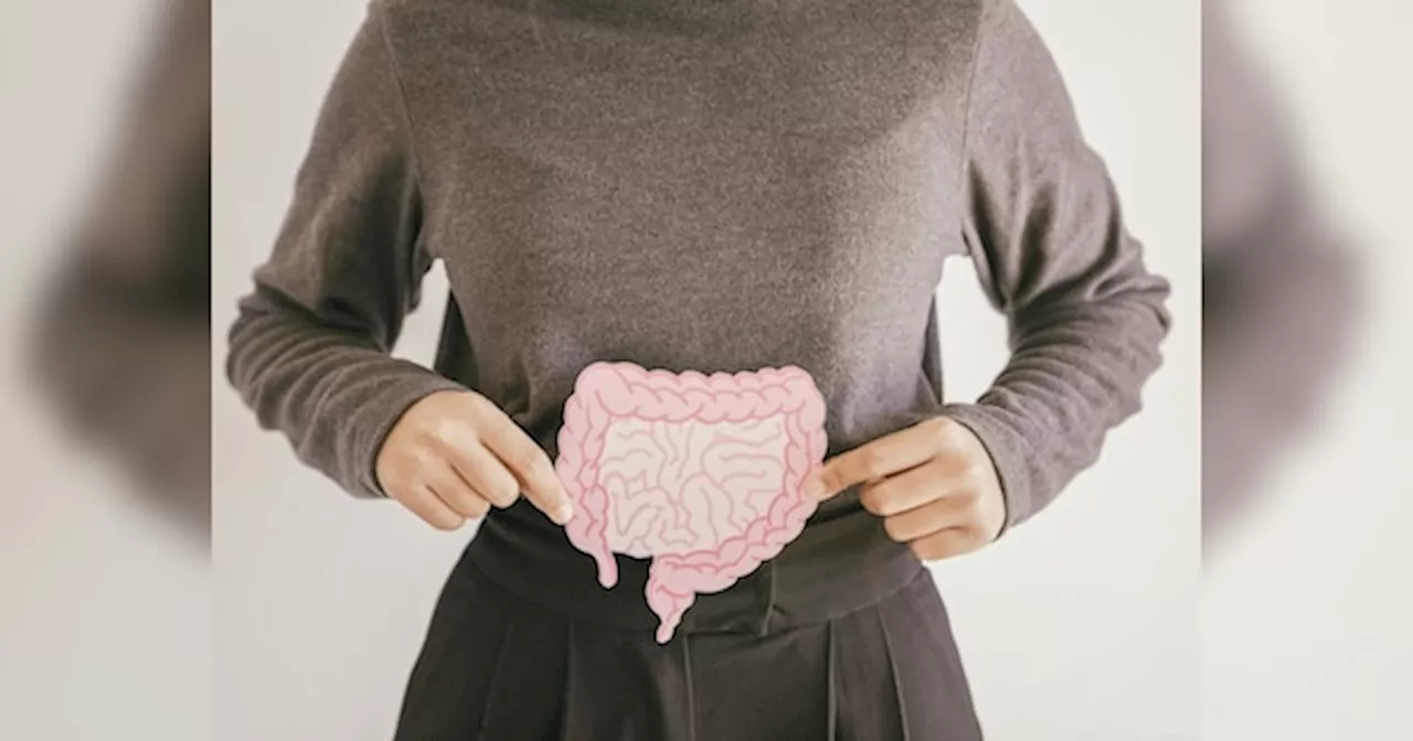 Gut Health: आंतों में छुपा है हेल्दी रहने का राज, एक्सपर्ट ने बताया आंत की सेहत का महत्व