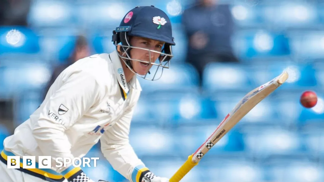 Joe Root and Harry Brook shine for Yorkshire against Derbyshire