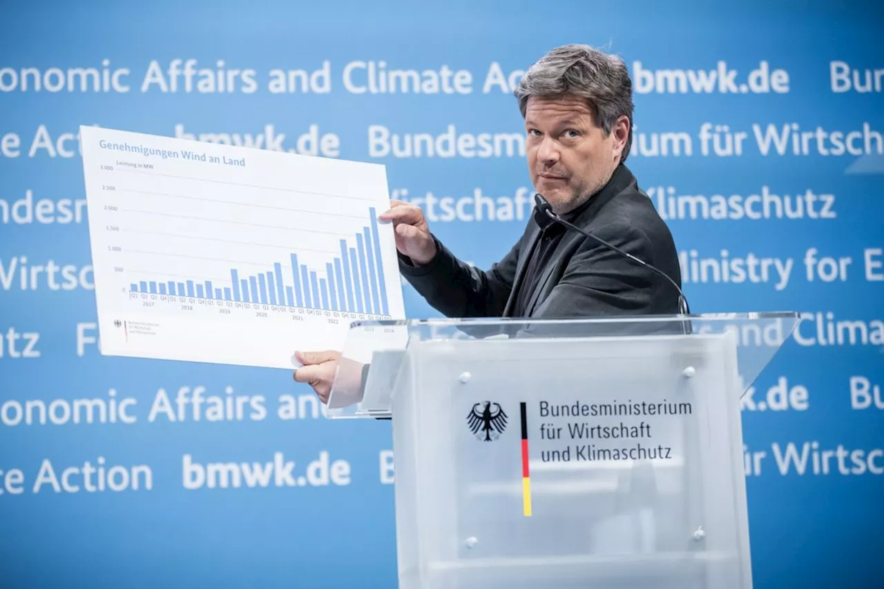 „Die Energiewende ist auf Kurs“ | Börsen-Zeitung