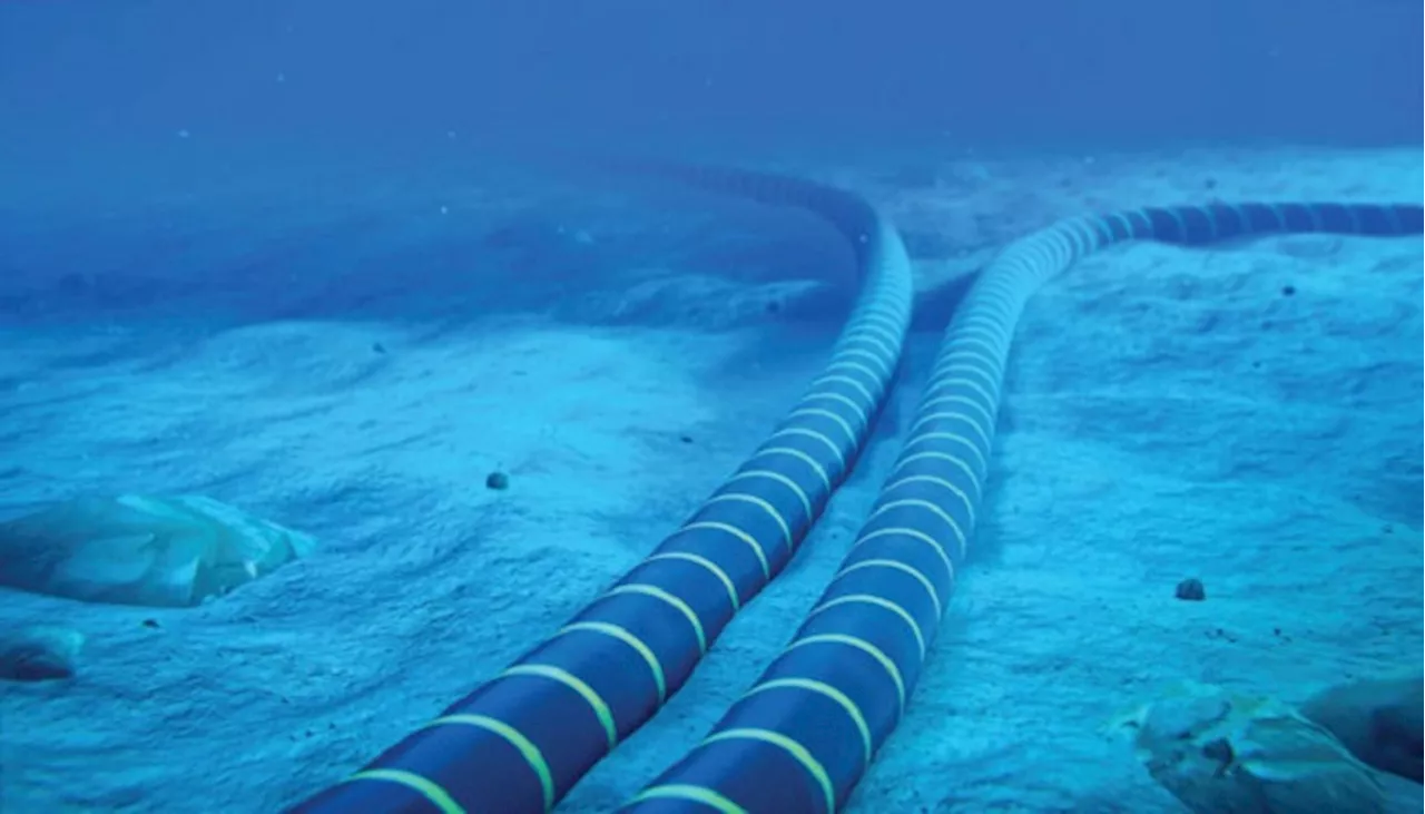 Internet users facing problems as undersea cable damaged