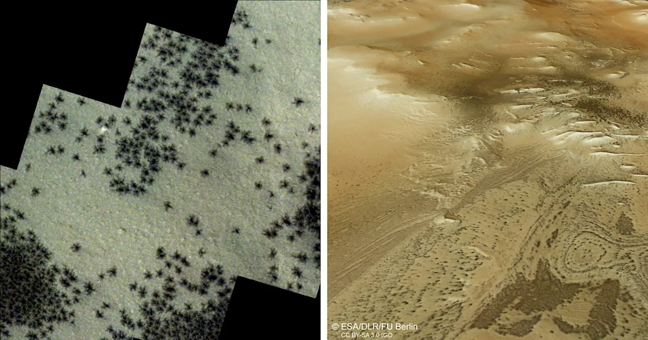 Hundreds Of Black “Spiders” Spotted On The Surface Of Mars In New Photos