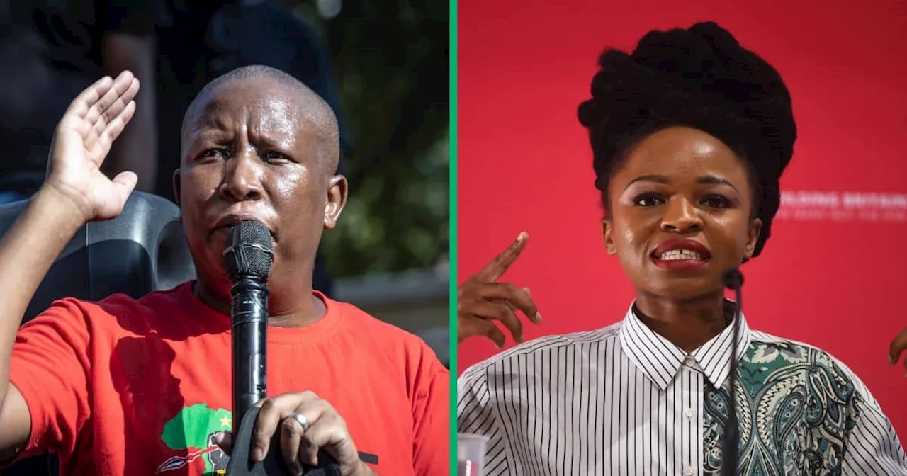 Julius Malema Responds to Naledi Chirwa’s Discipline and Reiterates EFF’s Support for Women