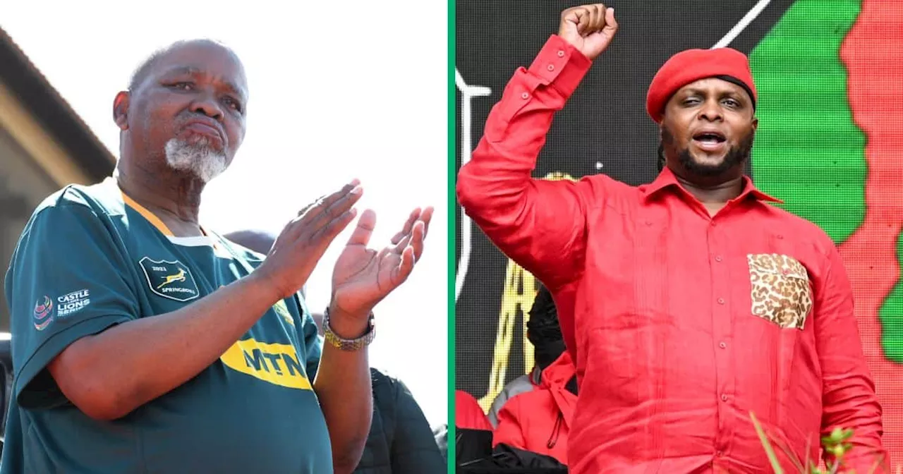 Mzansi Slams Mantashe After Claiming Shivambu As Finance Minster Is a Recipe for Looting