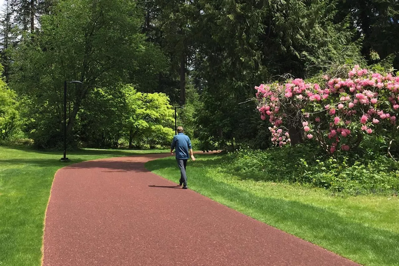 Explore 'the most comfortable trail in Metro Vancouver' now finished in Burnaby