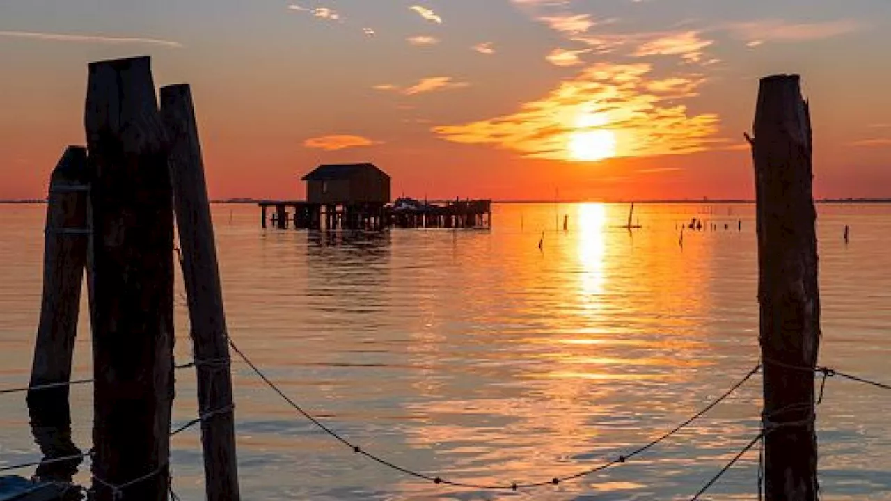 Il Veneto sconosciuto, dall'Oasi della Bóra al Portobuffolè