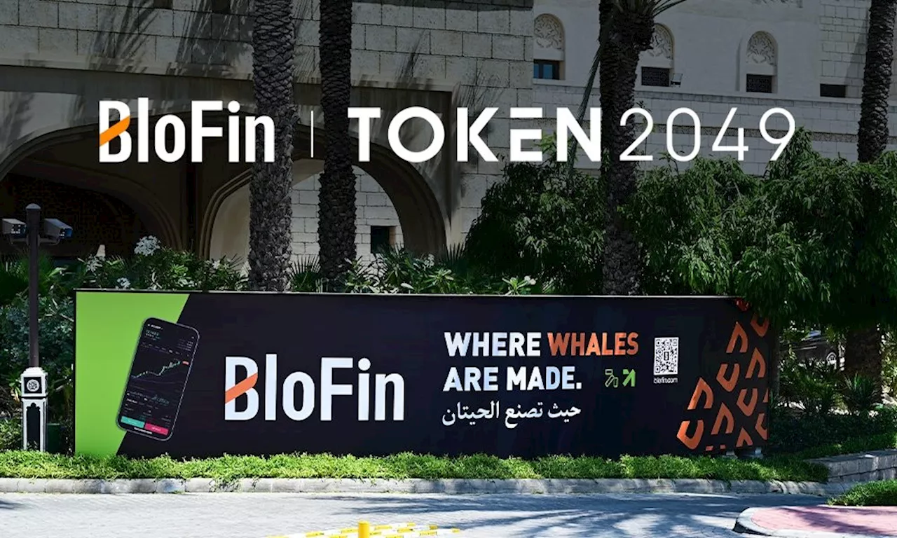 BloFin Sponsors TOKEN2049 Dubai and Celebrates the SideEvent: WhalesNight AfterParty 2024