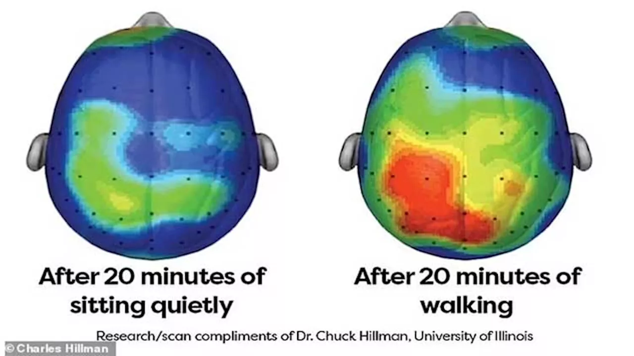 Scientists reveal how long you should walk to boost brain power