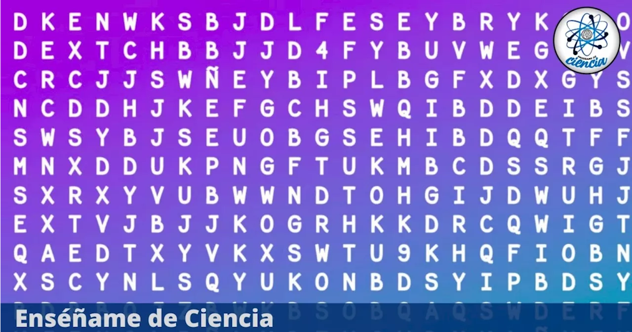 Acertijo visual FÁCIL: Encuentra la palabra “BALLENA” en la sopa de letras en tiempo récord