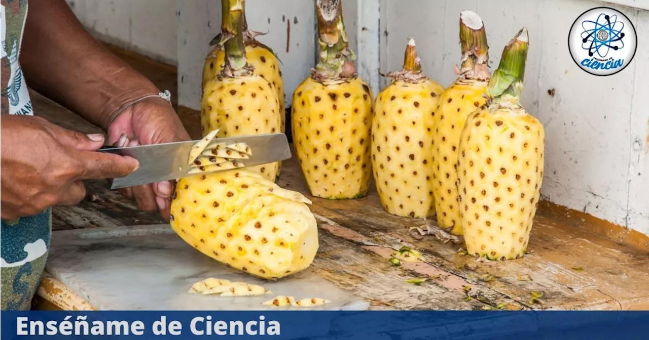 El secreto de los fruteros para pelar la piña fácilmente y en tiempo récord