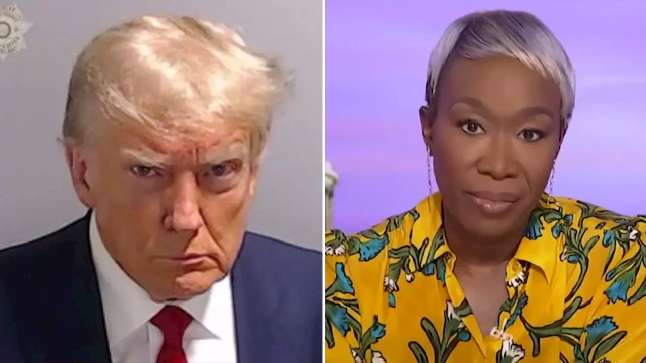 MSNBC host Joy Reid carries Trump indictments around 'everywhere,' like Trump's 'pretend Bible'