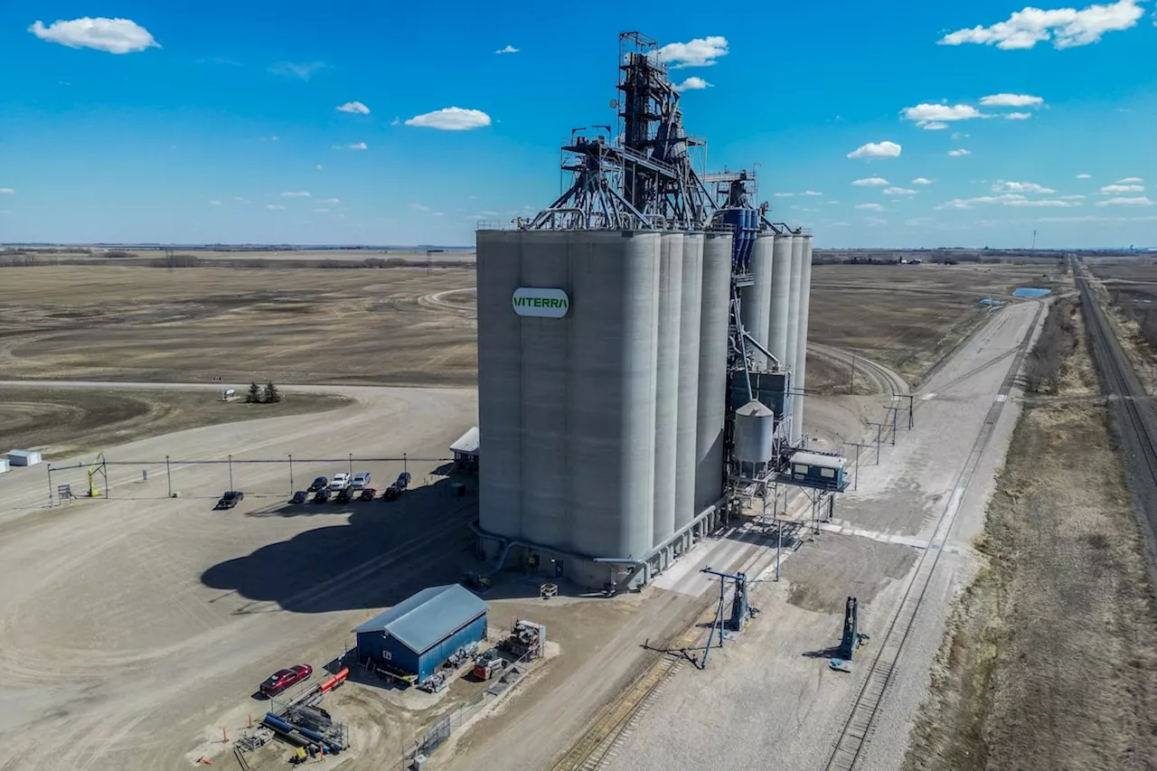 Review of US$8.2-billion agriculture merger between Viterra and Bunge draws opposition from Competition Bureau