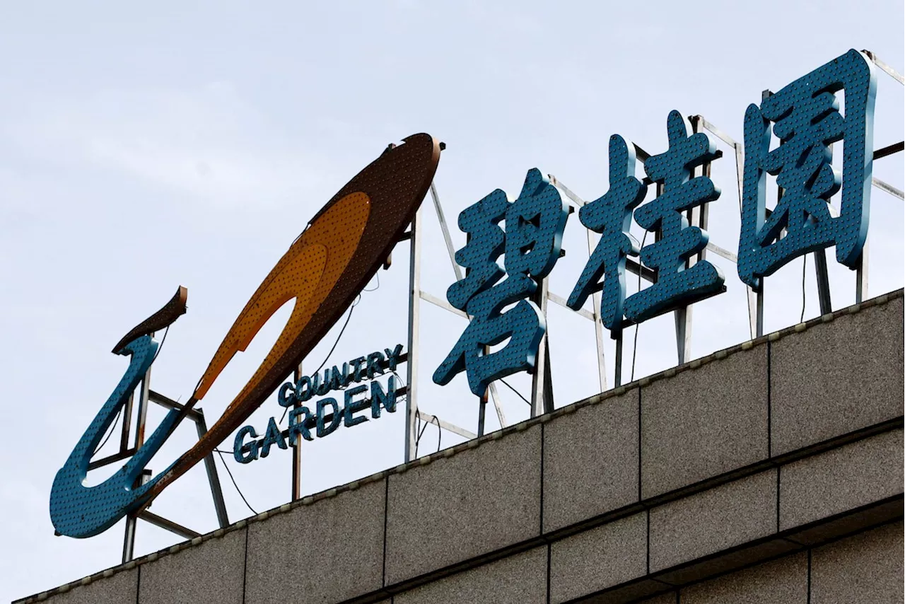 Chinese developer Country Garden plans to present debt revamp plan in second half of year, sources say