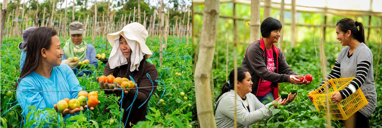 Jollibee Group Celebrates Women Farmers Under its Farmer Entrepreneurship Program