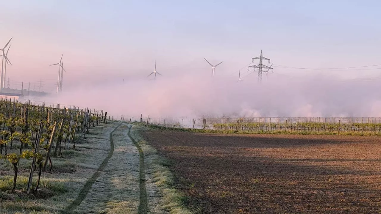 Autobahn-Crash, Großbrand – Frostfeuer sorgen für Chaos