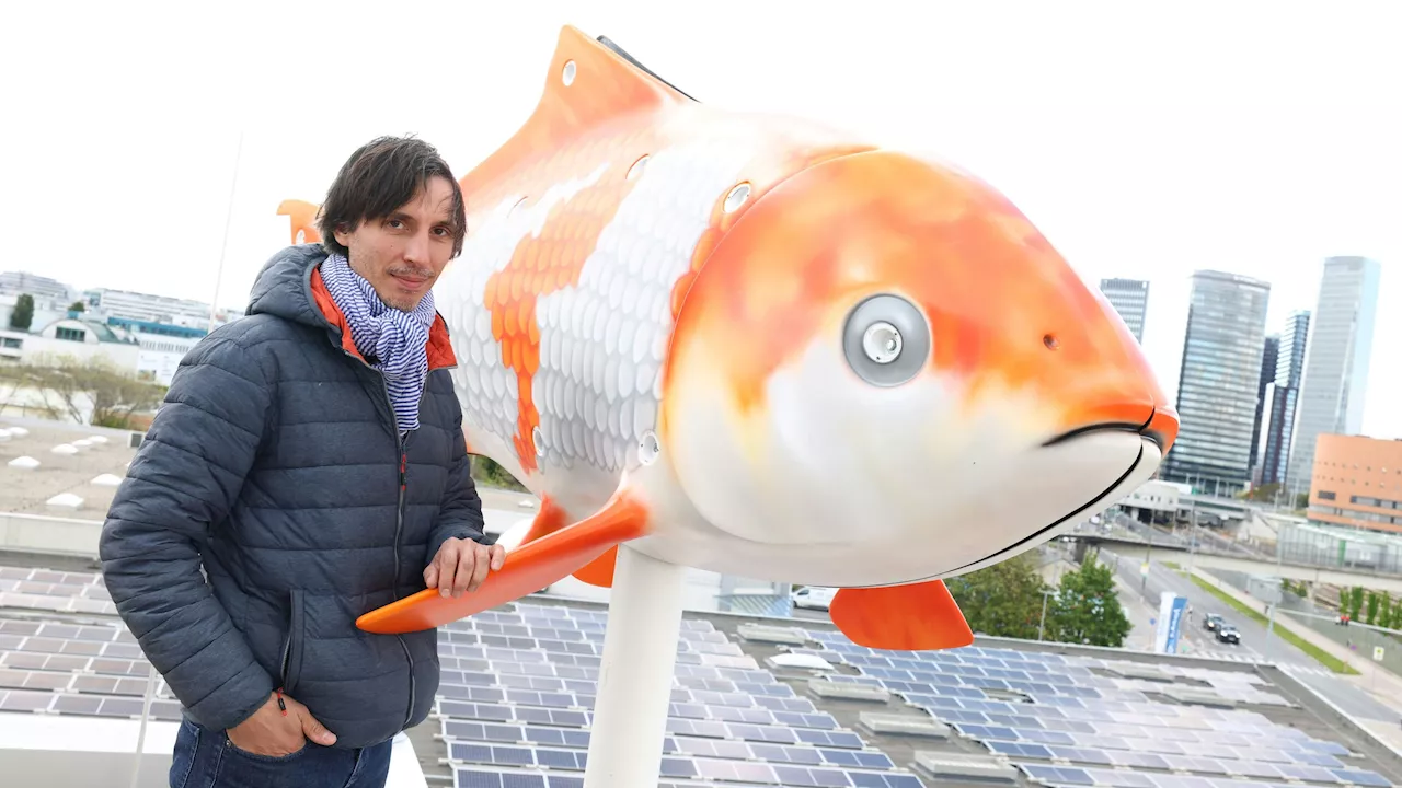 Goldig! Fisch auf Wohnhaus lässt Zeit schnell vergehen