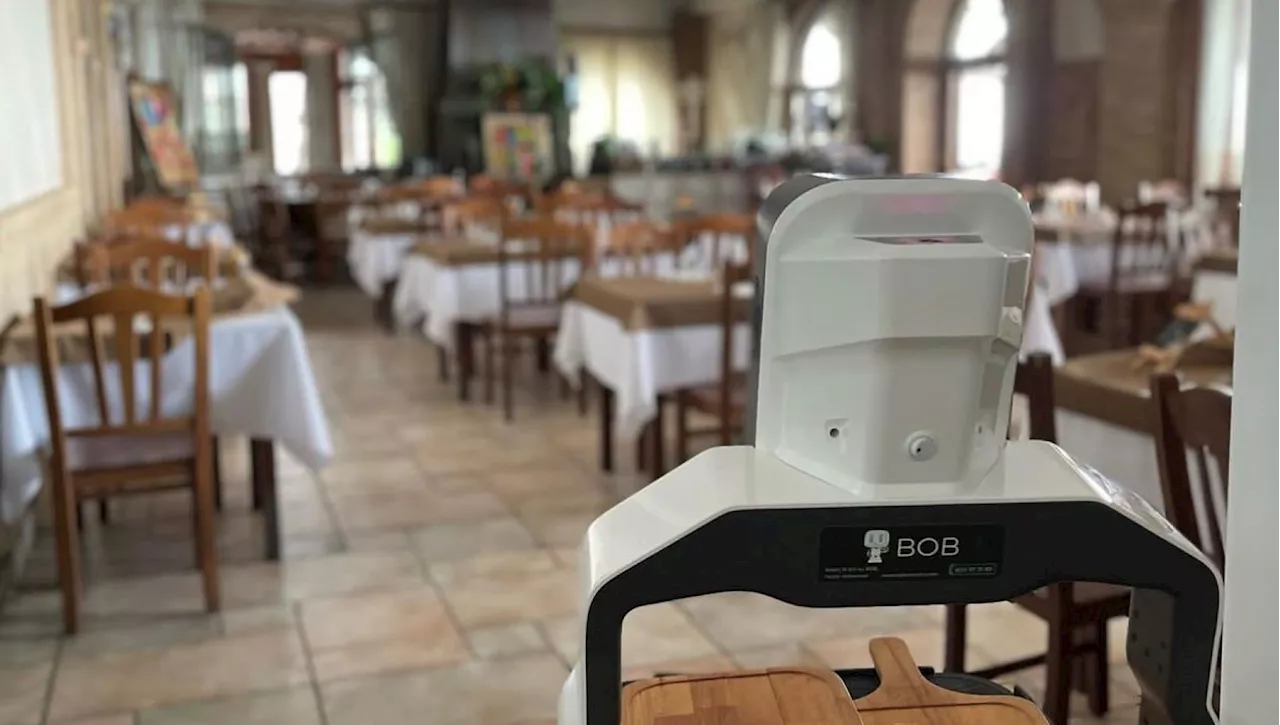 Lavora 12 ore al giorno per 350 euro al mese: ecco Bob, il robot cameriere