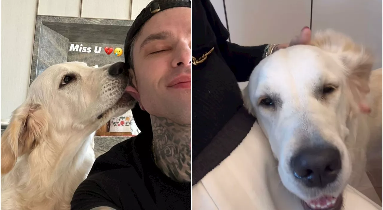 Fedez triste per Paloma, Chiara Ferragni risponde con un video. E i fan sognano