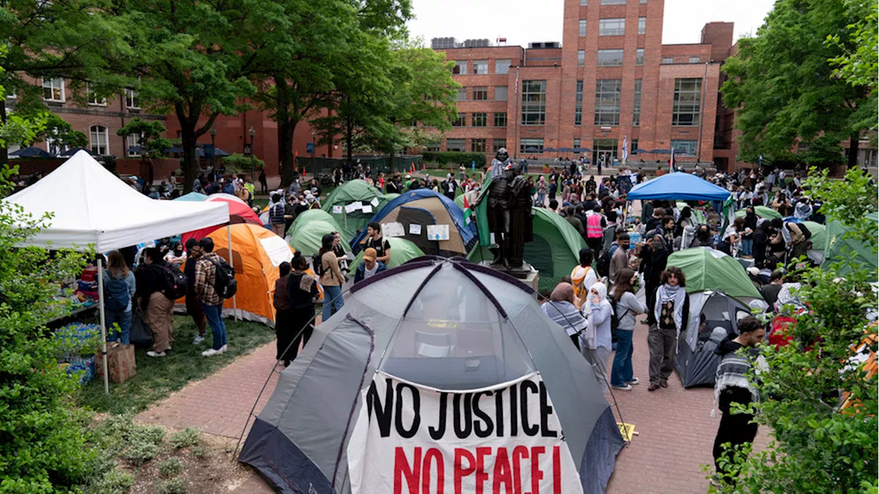 Anti-Israel protester seen holding 'final solution' banner at George Washington University